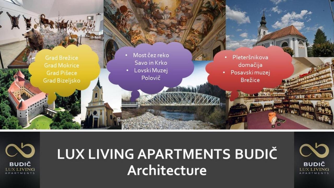 Lux Living Apartments Budic Near Terme Catez Brežice Exterior foto